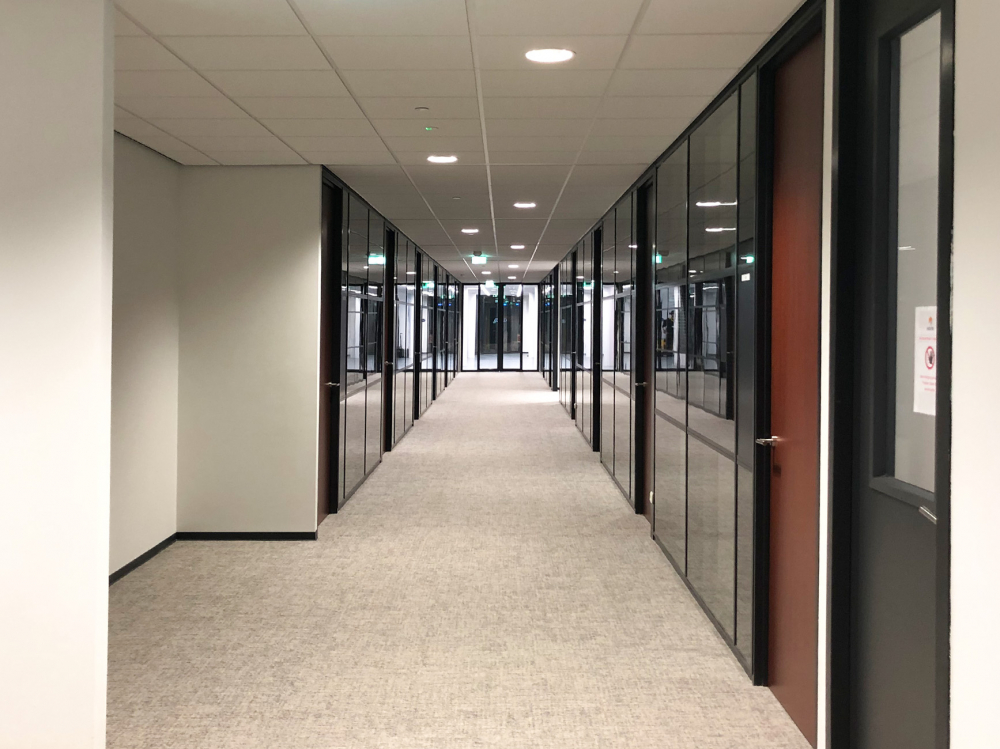 Wederopbouw Prodrive
